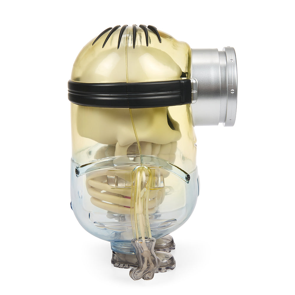 Minions Anatomy 8” Art Figure by Kidrobot - OG Edition