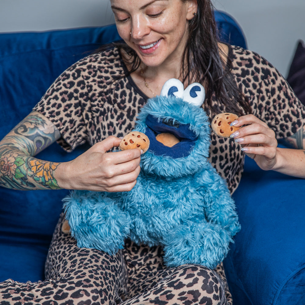 Sesame Street Cookie Monster 13” Interactive Plush