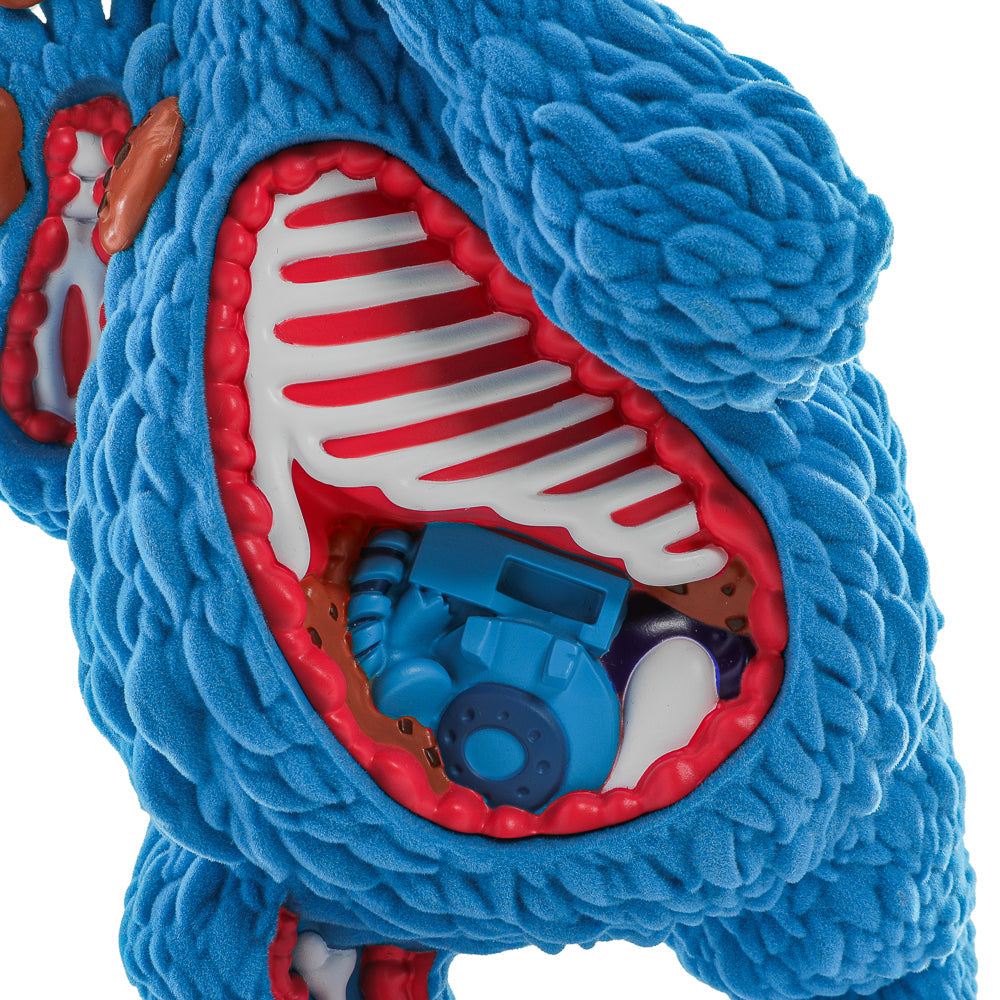 Sesame Street - Kaiju Anatomy Cookie Monster 8" Flocked Vinyl Art Figure