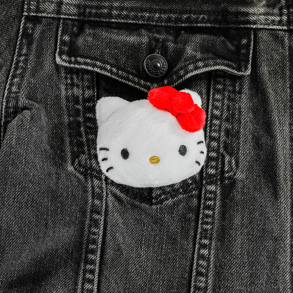 Hello Kitty® and Friends - Plush Pin 4-Pack Bundle (FIRST LOOK)