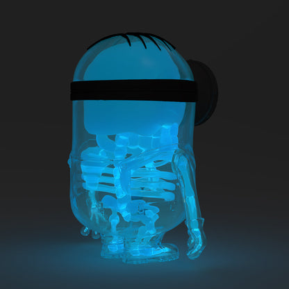 Despicable Me 4 - Minion Anatomy 8" Art Figure - GID X-ray AVL Edition (Limited Edition of 300)